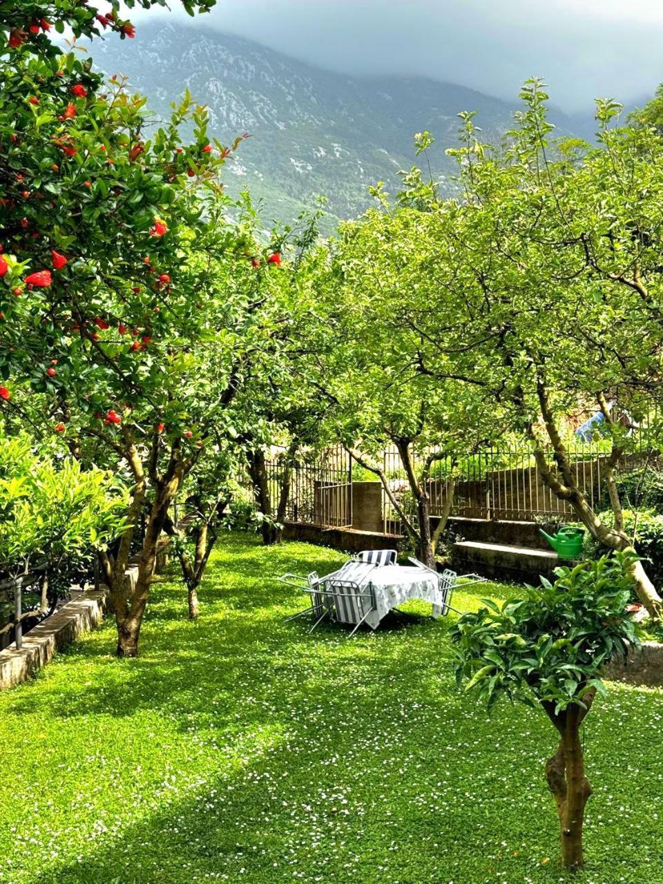 Apartments Andrija Κότορ Εξωτερικό φωτογραφία